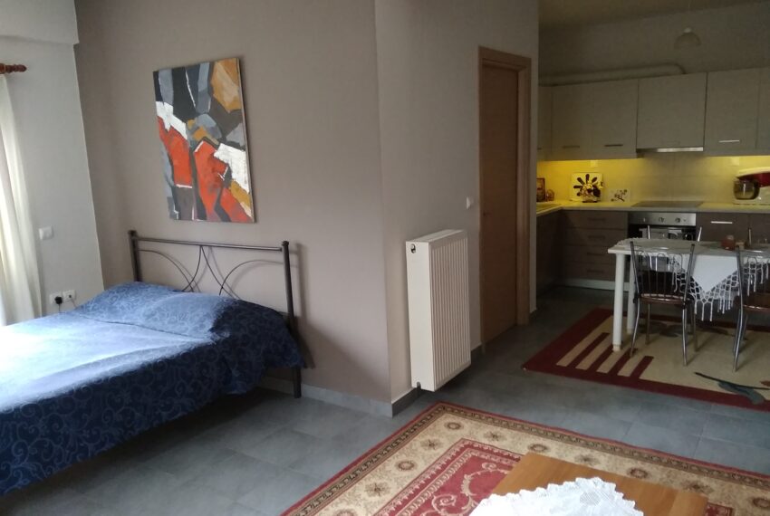 KMA_SALE_HOUSE CHALKIDA (11)