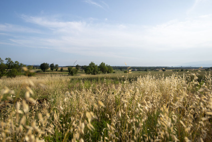 LRS_4564