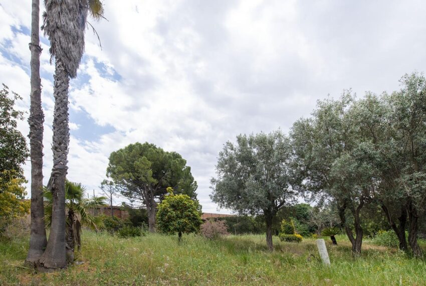 casa_venta_avinguda-maria-villalonga_olivar-gran_figueres_girona 48 (Copy)