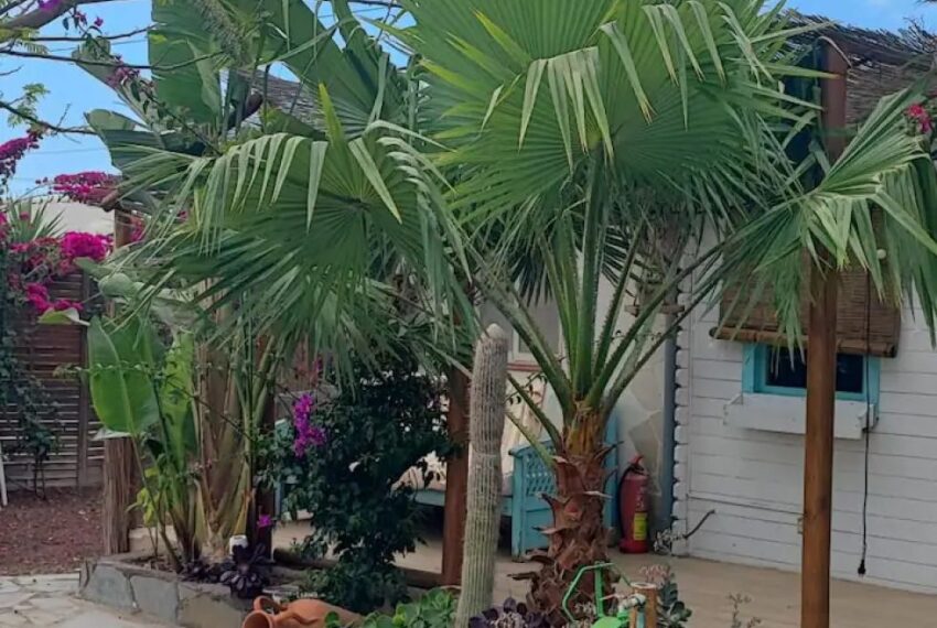 townhouse-for-sale-in-arona-tenerife-spain--tr-2696-657c6027f20be-720