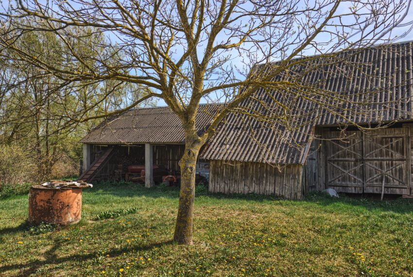 pulsze dom podlasie siedlisko działka nieruchomosc agro agrobiznes agroturystyka inwestycja na wsi wojszki stodola (14)